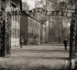 Commémoration de la libération d’Auschwitz : l’appel de l’Unesco