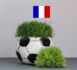 Droit à l’image, les joueurs obtiennent plus de droits face à la Fédération française de foot