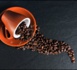 Crise mondiale, le secteur du café s’interroge sur son avenir