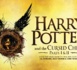 « Harry Potter et l’enfant maudit », 680 000 exemplaires en trois jours