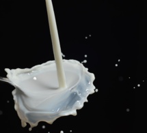 La consommation de lait continue à reculer en France