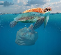 Ce plastique qui tue les océans