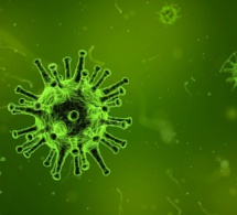 Coronavirus : l'OMS et l'OMT appellent à la responsabilité