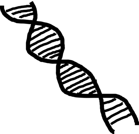 Séquençage du génome : une véritable course scientifique