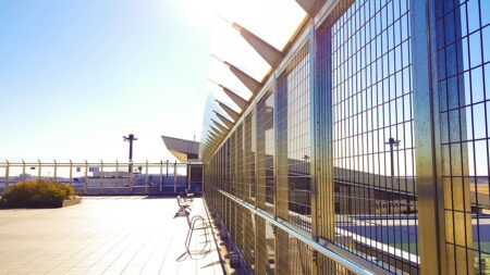 Carole Ghosn, la femme de l’homme d’affaires, quitte en catastrophe le Japon