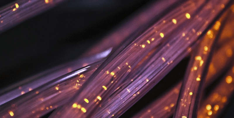 Un nouveau record hallucinant de débit en fibre optique atteint par des Japonais
