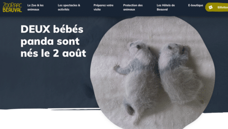 Naissance de deux femelles panda au Zoo de Beauval