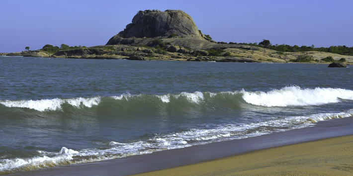 Au Sri Lanka la crise économique devient une crise alimentaire