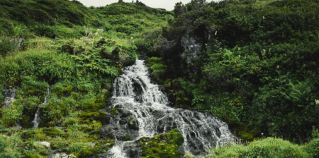 Chasseur gravement blessé et ourse tuée dans les Pyrénées