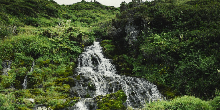 Chasseur gravement blessé et ourse tuée dans les Pyrénées