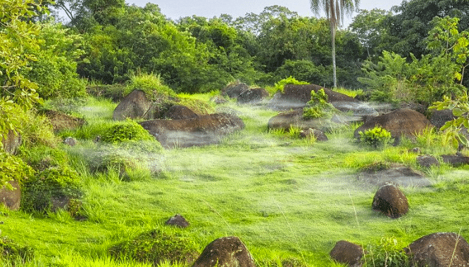 En Chine, découverte d’un embryon de dinosaure exceptionnellement bien conservé