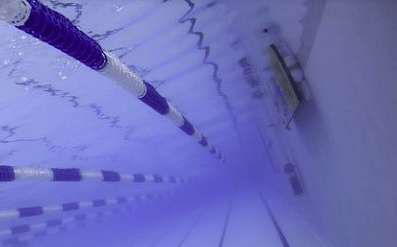 « Aqua Challenge » : une compétition de natation aux airs de fête