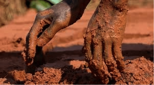 Engagement sociétal et humanitaire : de multiples voies possibles