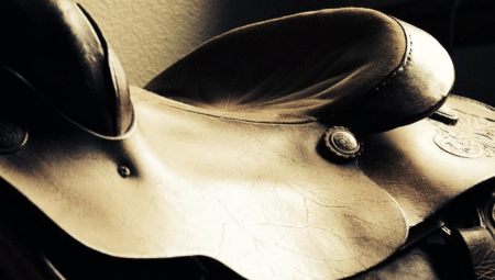 La France à un cheveu du podium de la Coupe des nations d’Attelage