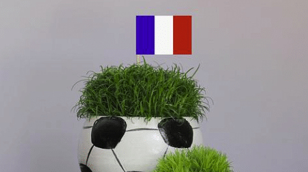 Foot féminin : Corinne Diacre, sélectionneuse de l’équipe de France, reconduite jusqu’en 2024