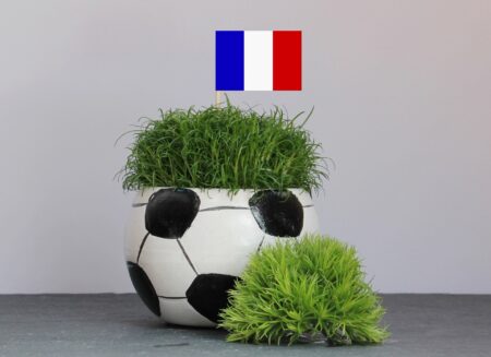 Droit à l’image, les joueurs obtiennent plus de droits face à la Fédération française de foot