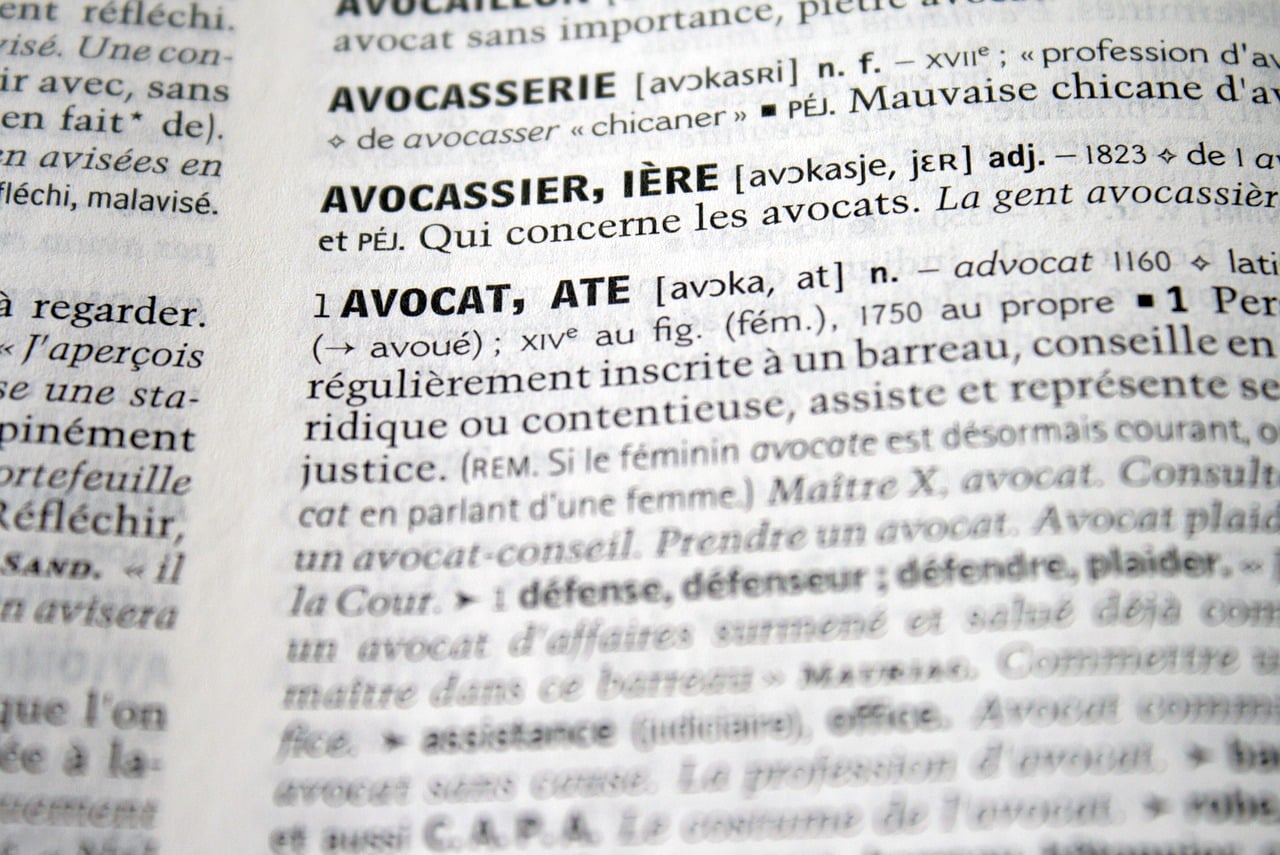 La politique assaillie par un langage de plus en plus pauvre