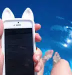 Le marronnier de la déconnexion