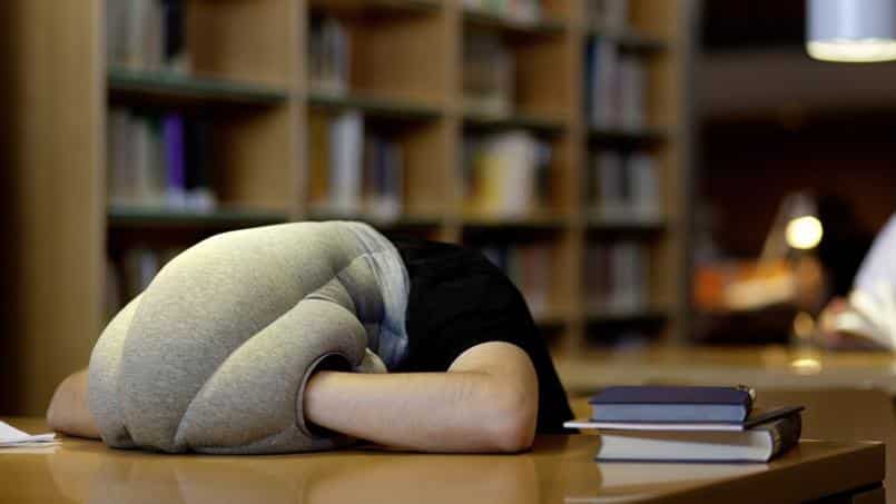 L’avenir appartient à ceux qui se lèvent tôt