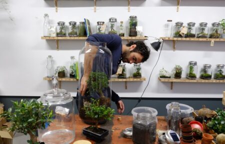 En ville, le terrarium prend racine