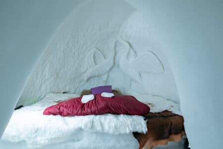 Igloo Lodges