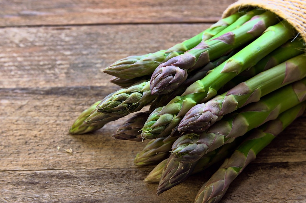 asperge des bois