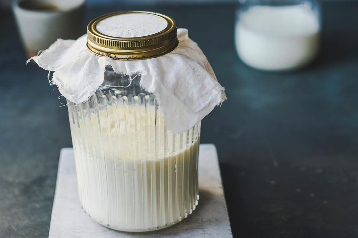 Le kéfir : un allié naturel pour la santé intestinale