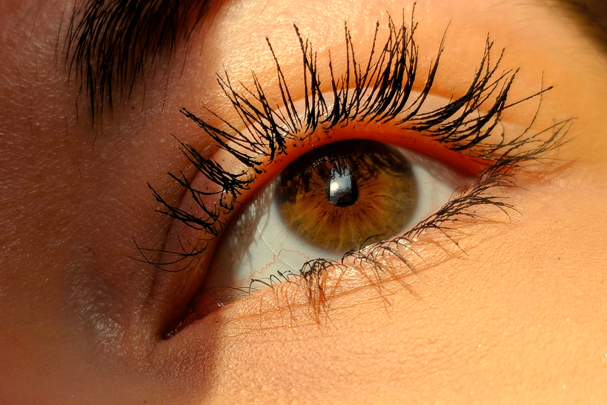 Le mascara waterproof : l'allié incontournable de votre trousse de maquillage