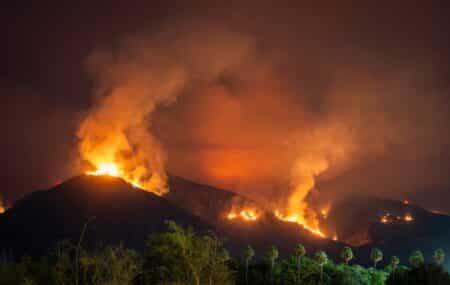 Incendies Bouleversent Nos Paysages