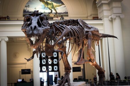 Œufs de dinosaures : une découverte paléontologique majeure redessine la carte scientifique française