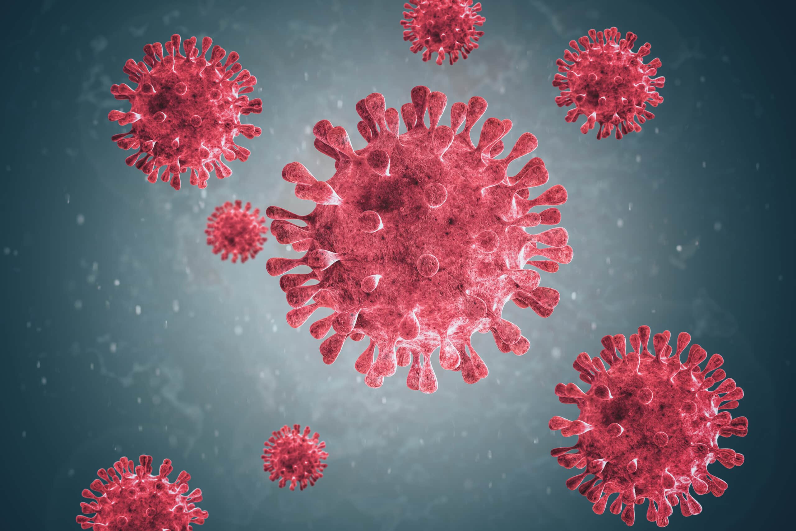 Coronaviruses.,microscopic,images,of,the,virus.,coronaviruses,are,a,group