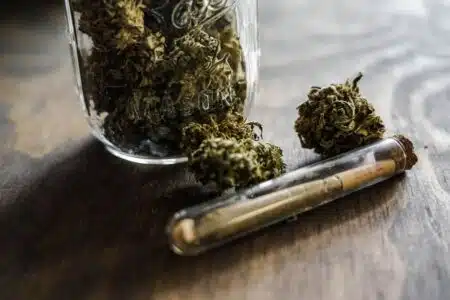 addictions-chez-les-jeunes-ce-que-le-barometre-macif-dit