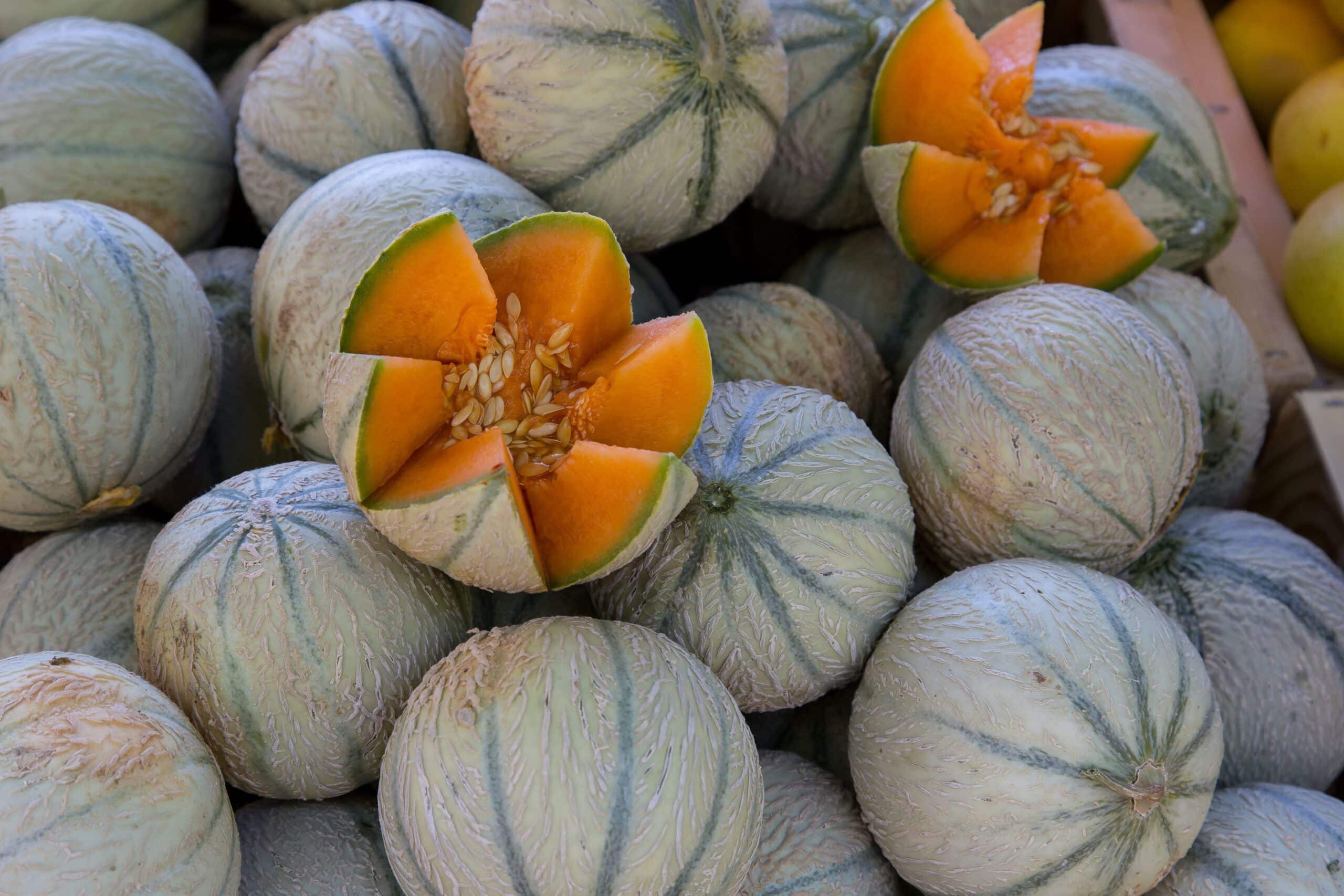 melon